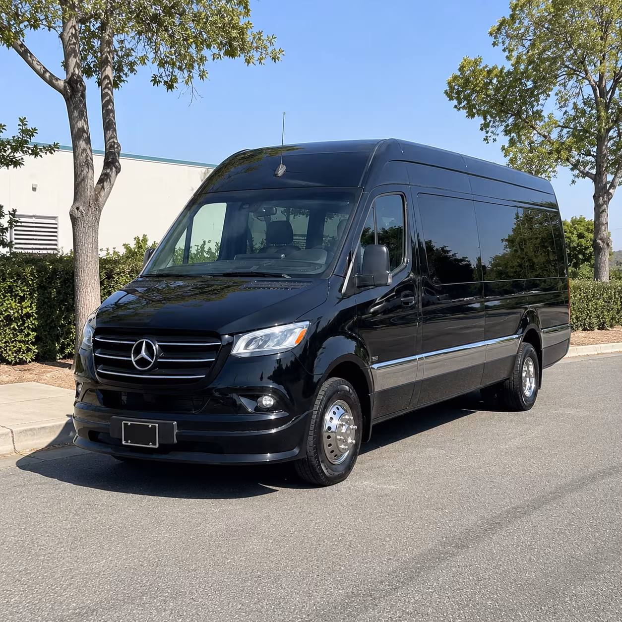 secure transportation for your next bachelor or bachelorette party 4